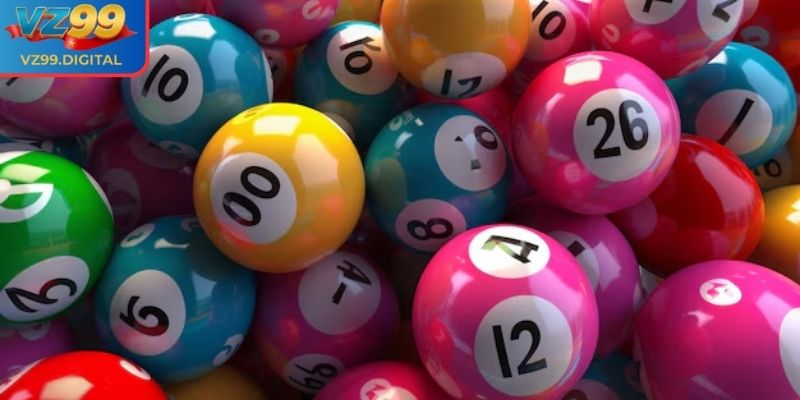 Lô khung VZ99 là gì?