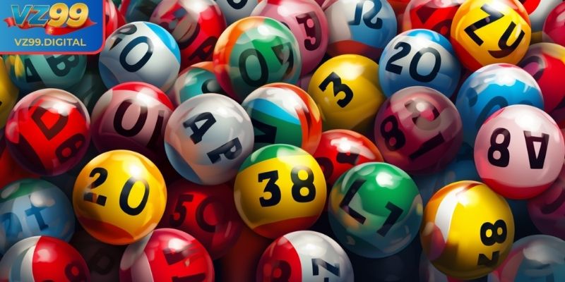 Nuôi lô khung VZ99 3 ngày